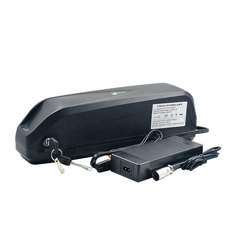 Batería de vehículo eléctrico de reemplazo Hailong 48V 1000W con cargador Batería de litio de reemplazo E-Bike