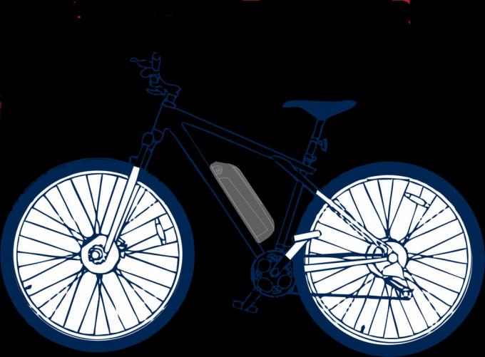 36V Ebike Hailong Downtube Lithium Battery for Electric Bike with USB Charger Included