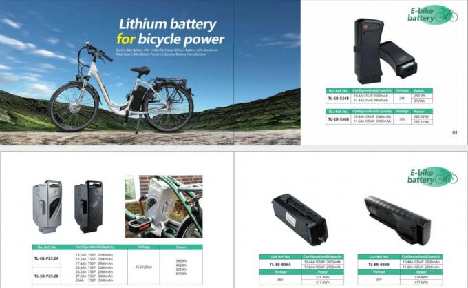 Powerful 10.4ah 11.6ah Storage Bike Battery E-Go Totem Viking Cortina